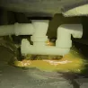 UV COLOR Amarillo