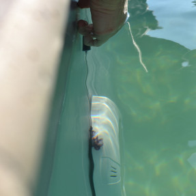 Jeringa colorante azul – Detección de fugas de agua